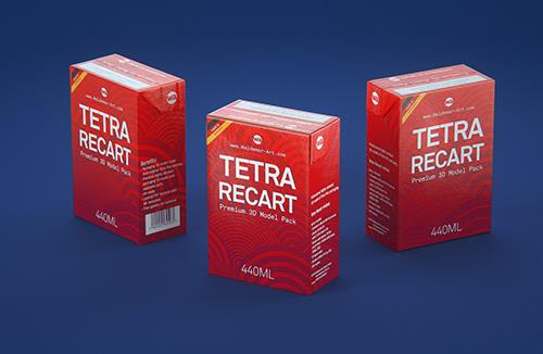 Tetra Pack Brick Base 200ml with Pull Tab and a packaged straw packaging 3d model pak
