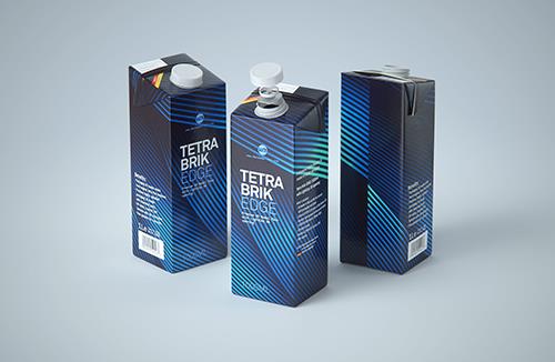 Tetra Pack Classic 200ml Professional packaging 3D model pak