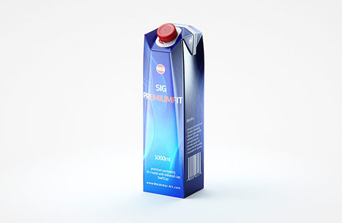 Tetra Pack REX 500ml Professional carton packaging 3D model pak