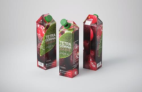 Premium Packaging 3D Model of carton package for 4x250ml Tetra Prizma Edge